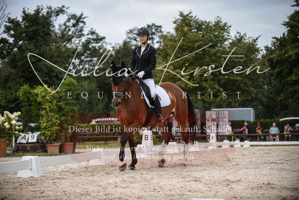 DSC_8260 | Pferde- und Turnierfotografie in Westsachsen. Pferdeportraits, Auftragszeichnungen und intuitive Kunst.