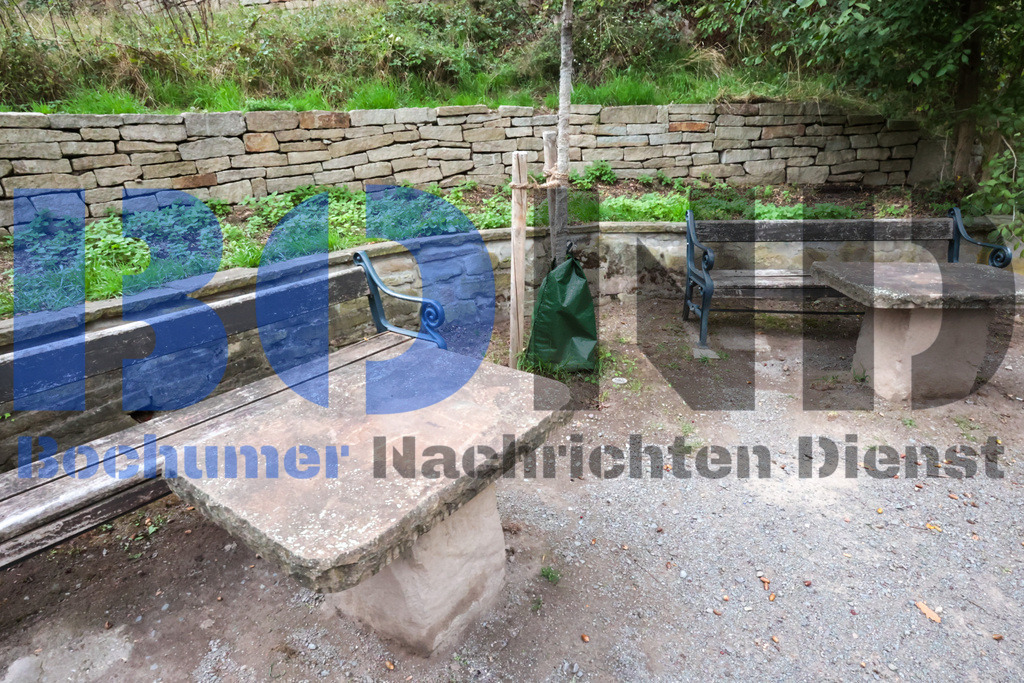 SES_RUHIGA20250918-38 | bond - Realisiert mit Pictrs.com