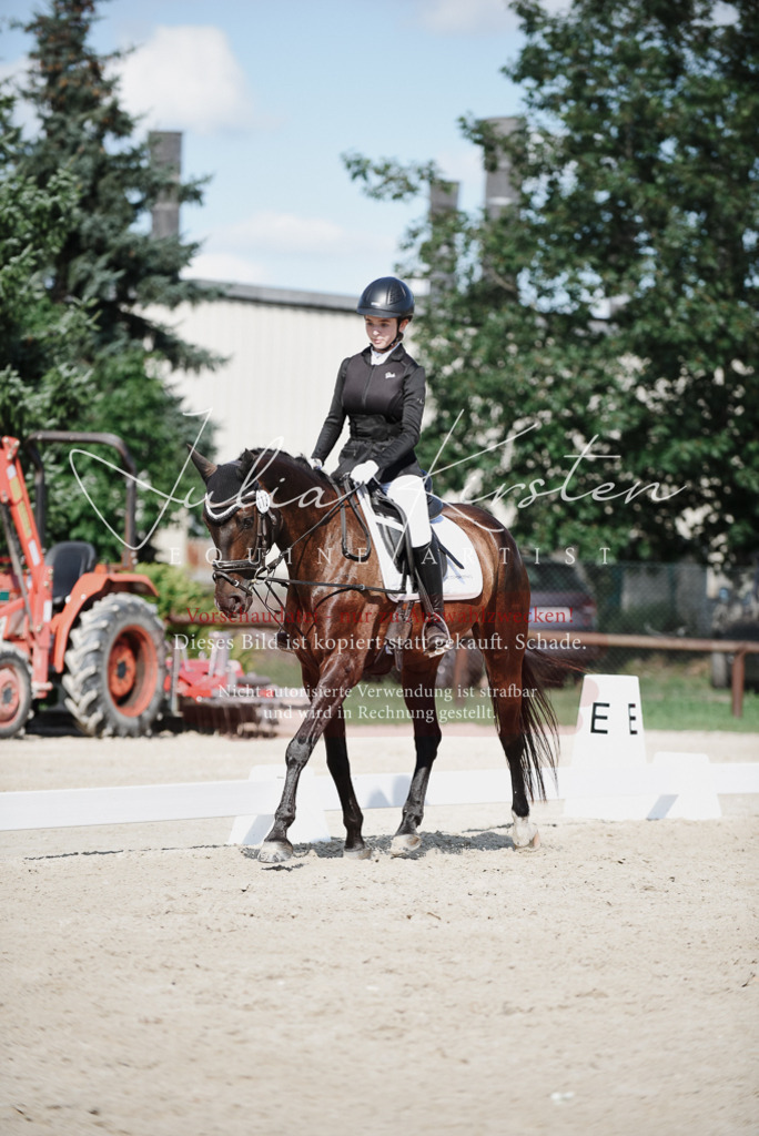 DSC_9916 | Pferde- und Turnierfotografie in Westsachsen. Pferdeportraits, Auftragszeichnungen und intuitive Kunst.
