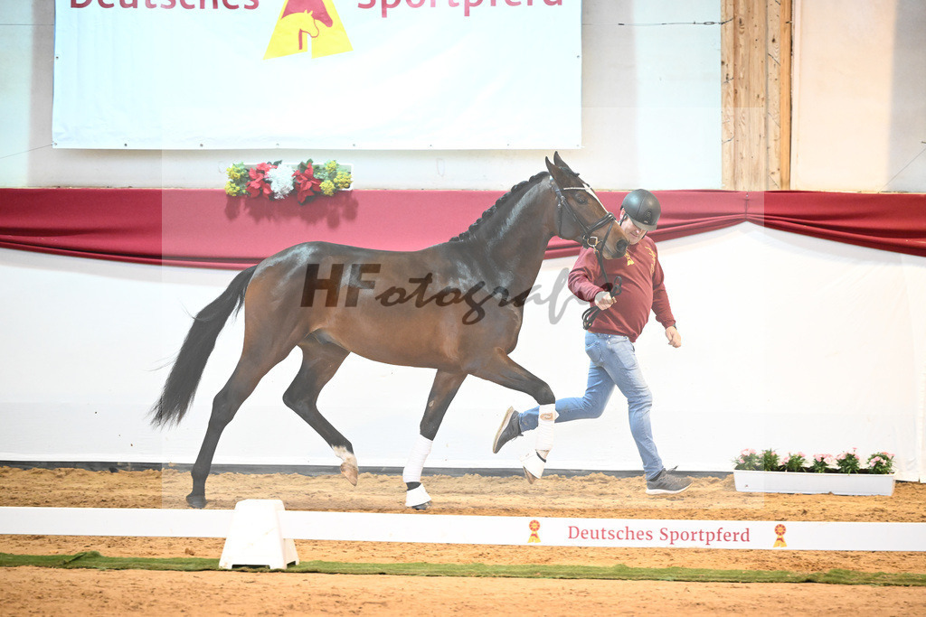 Kat-Nr. 7 Bon Vivaldi x Florencio I_Kornes_43231759 | hf-fotografie - Realisiert mit Pictrs.com