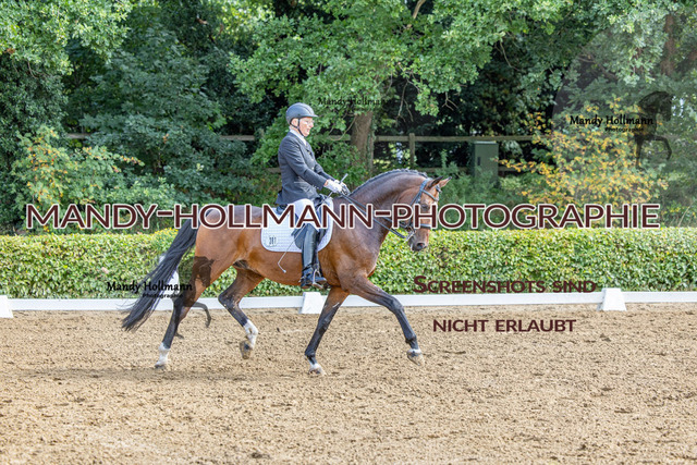 16.8.25 D1 DRE M-157 | mandyhollmannphotographie