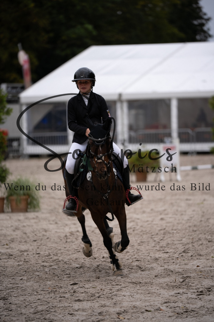 A7V08343 | Pferdefotograf