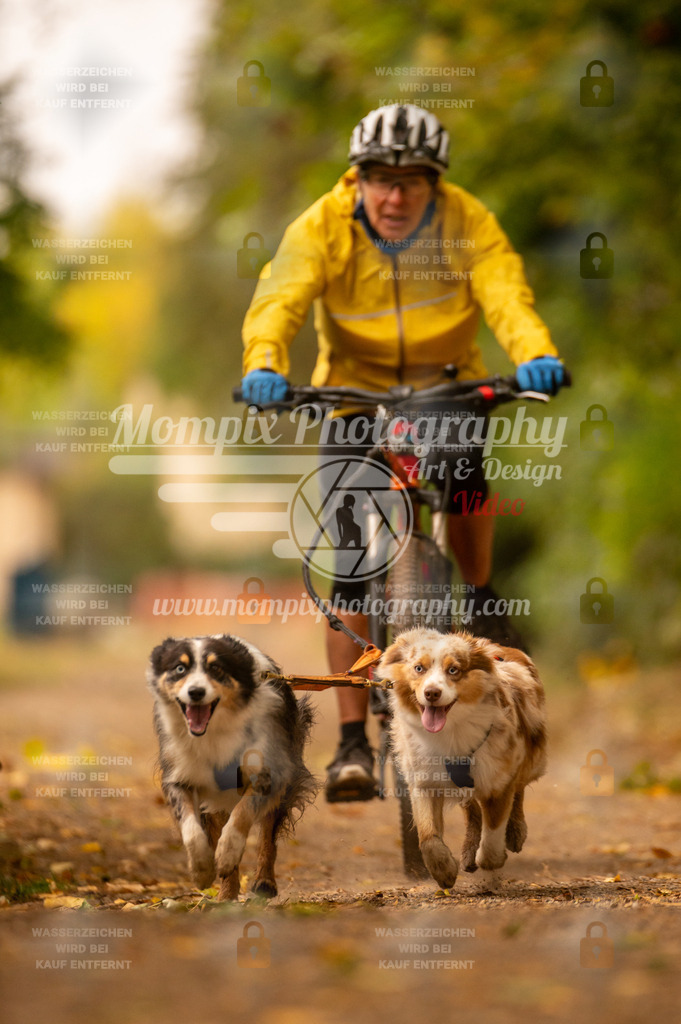 CDLBDB_14_10_2023_Samedi-210 | PayLife