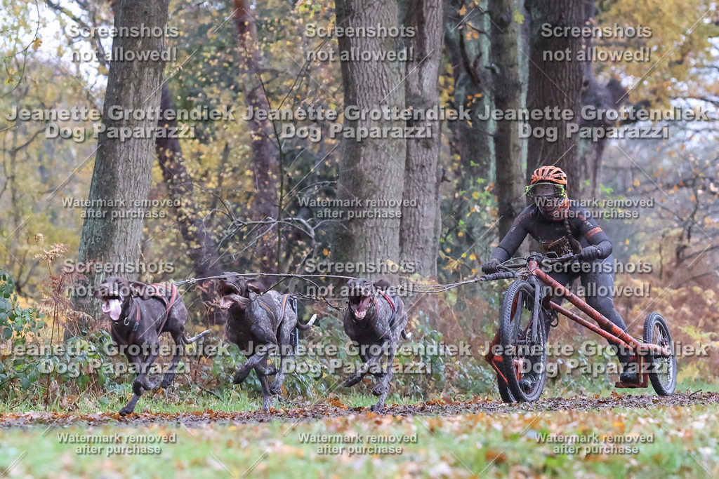 Dog Paparazzi - Ströhen 25-20 | Dog Paparazzi Jeanette Grottendiek Fotografie & Videografie - Realisiert mit Pictrs.com