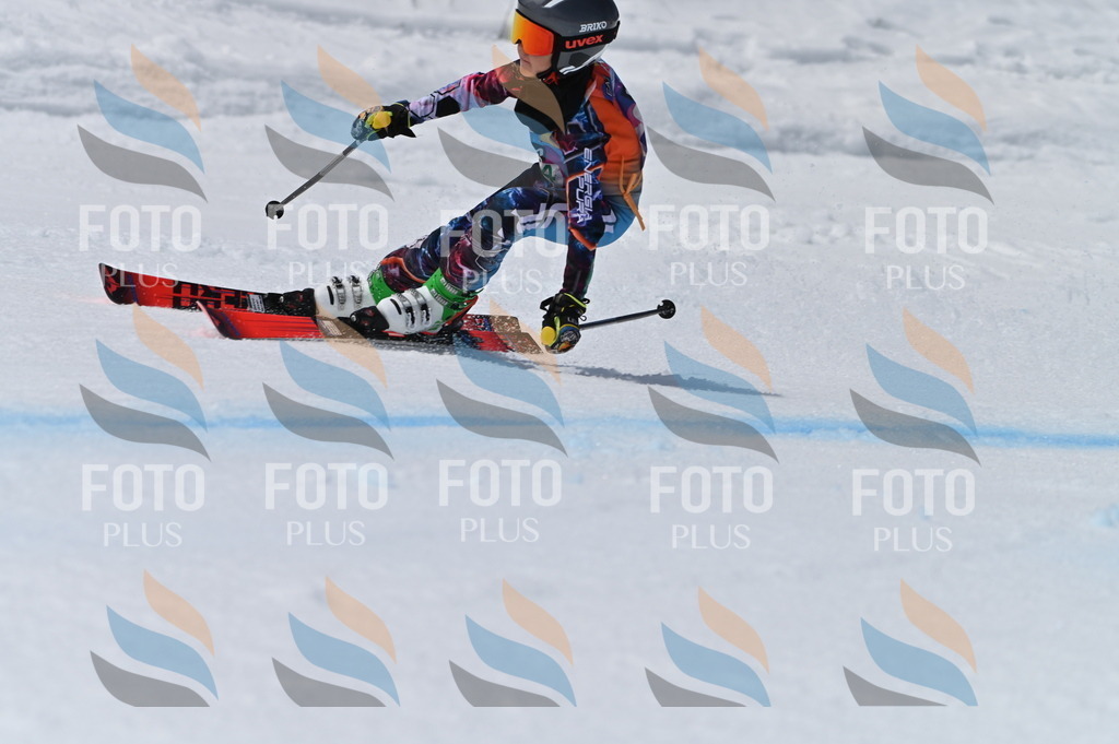 BGV_7201 | holidayphoto