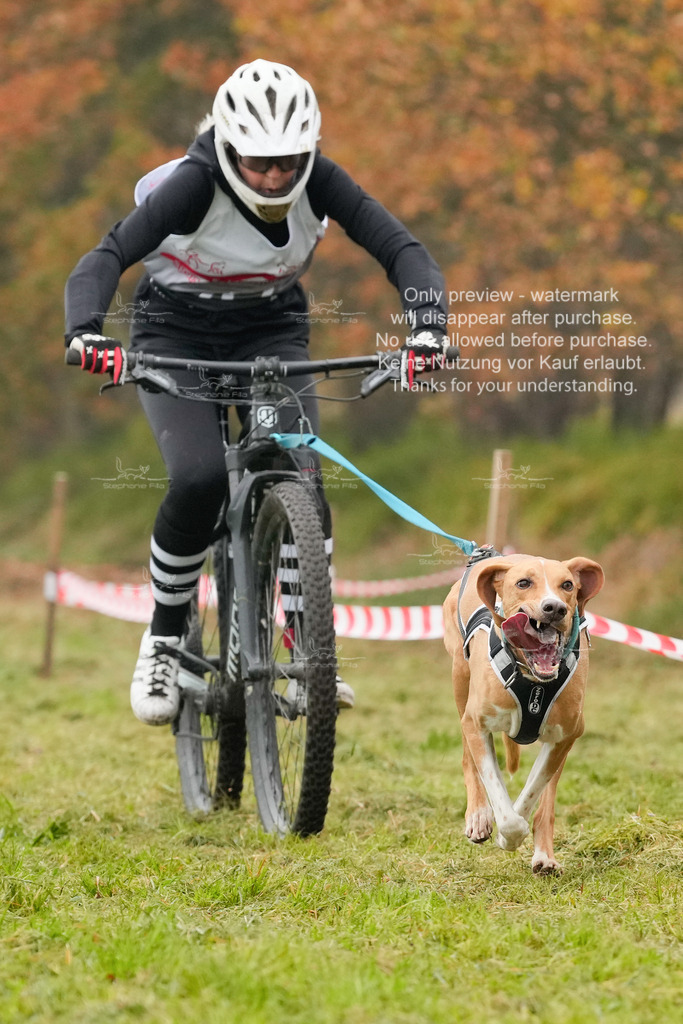 AusschnitteSa-81 | stephaniefillaphotographie - Realisiert mit Pictrs.com