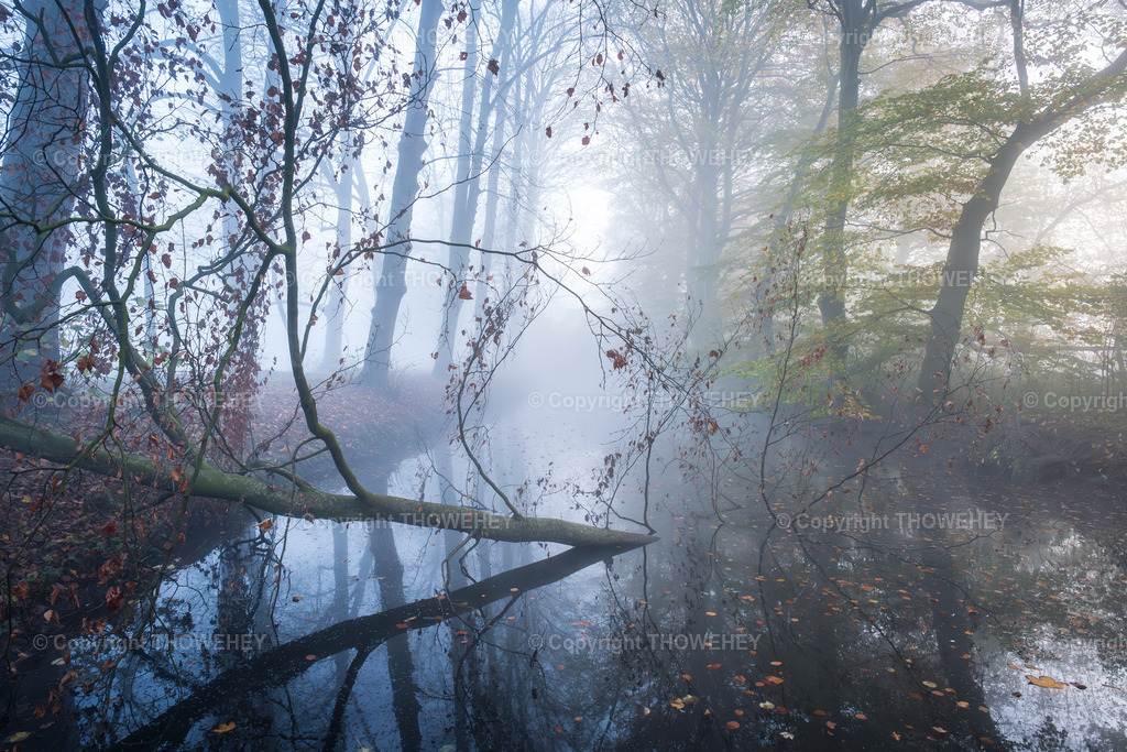 _1110779-Enhanced-NR | thowehey - Realisiert mit Pictrs.com