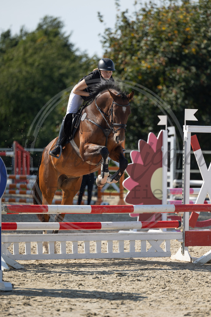 994A1849 | sabrinanicolaifotografie - Realisiert mit Pictrs.com