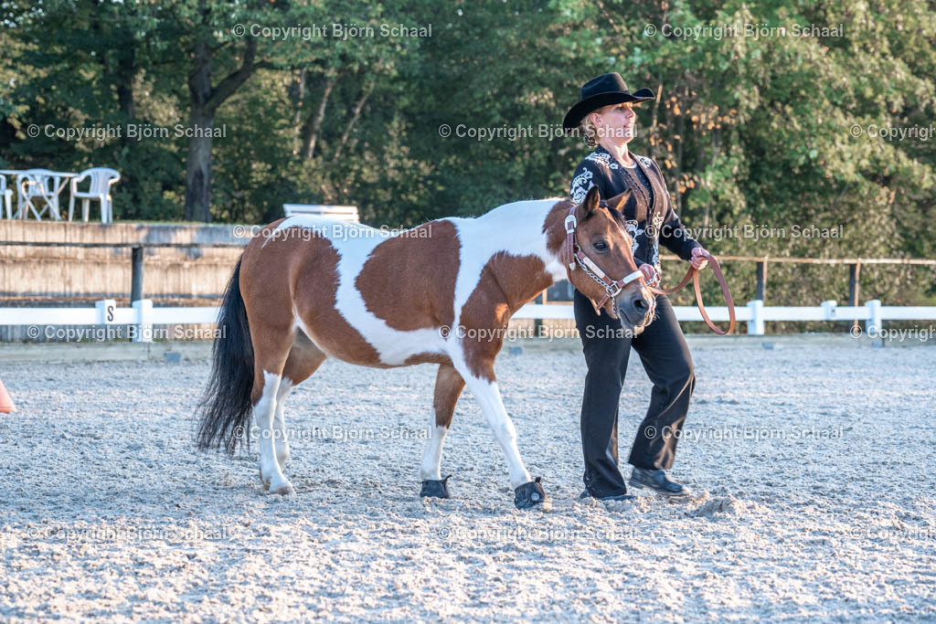 HOB07679 | BS-foto