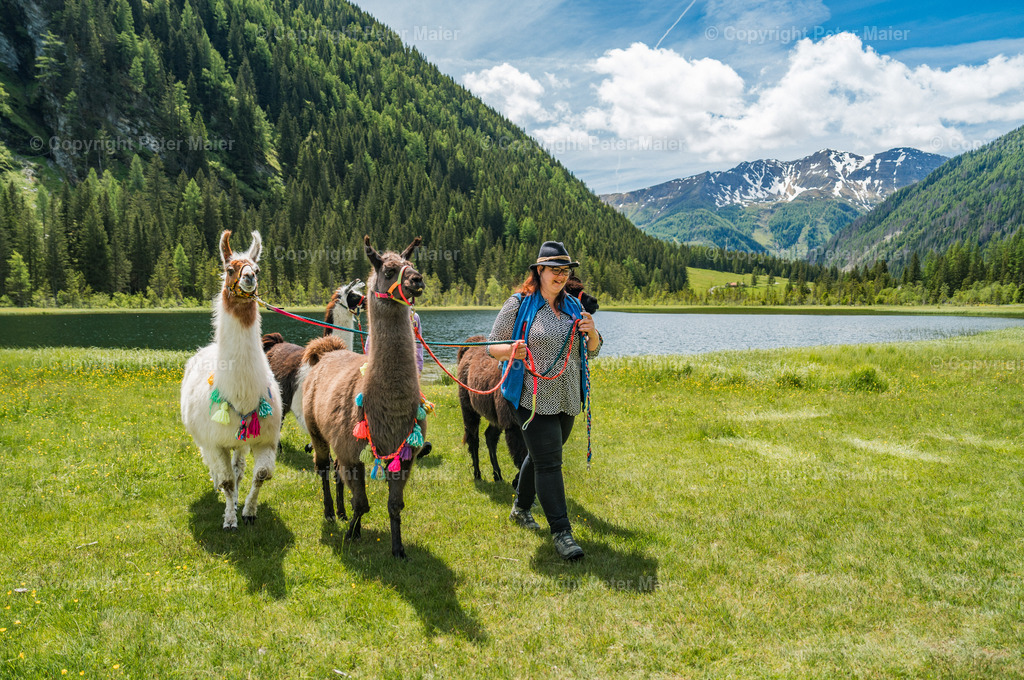 Auszeit_auf_Kärntnerisch_2024-1495 | piet_flosse