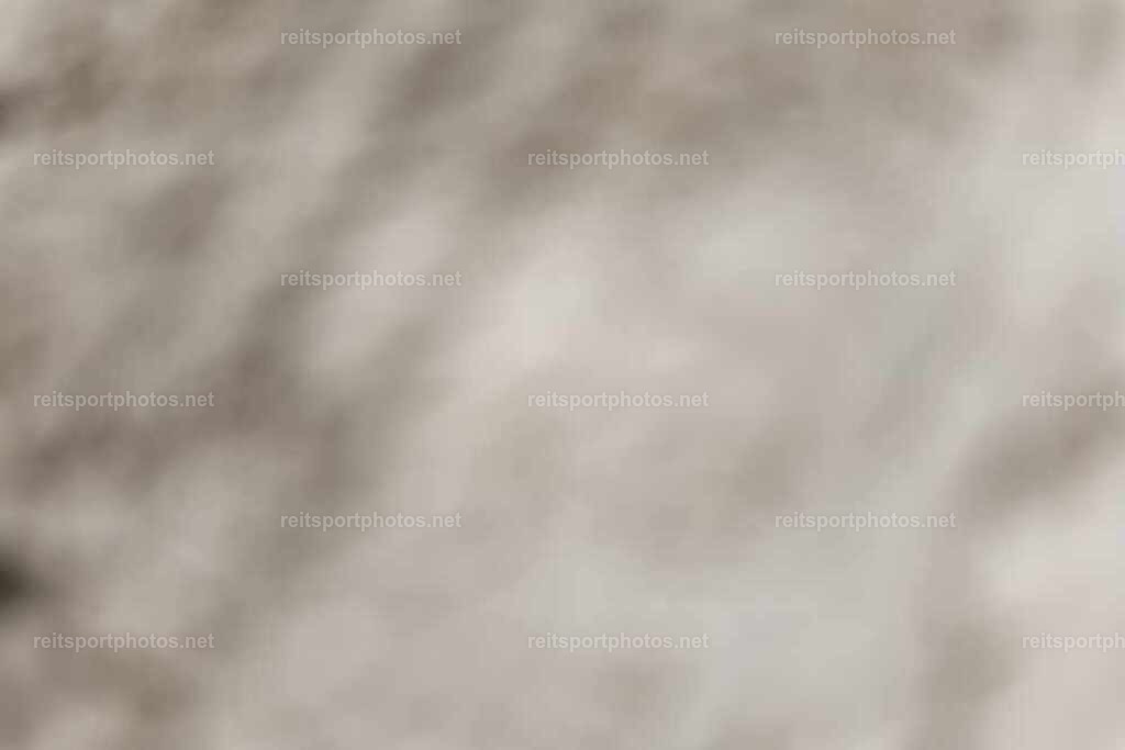 JoYaR3_Heidehof_00548 | JoYa Fotografie - Realisiert mit Pictrs.com