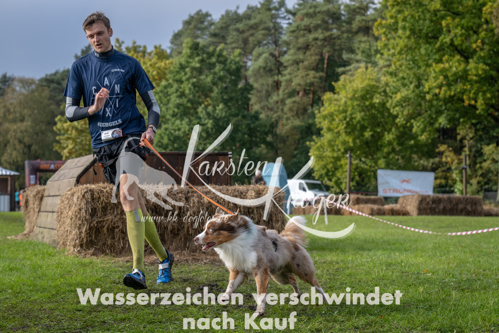 1417-94695 | kk-dogfotos