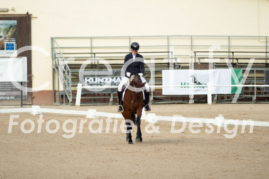 IMG_0383 | Creatify Fotografie