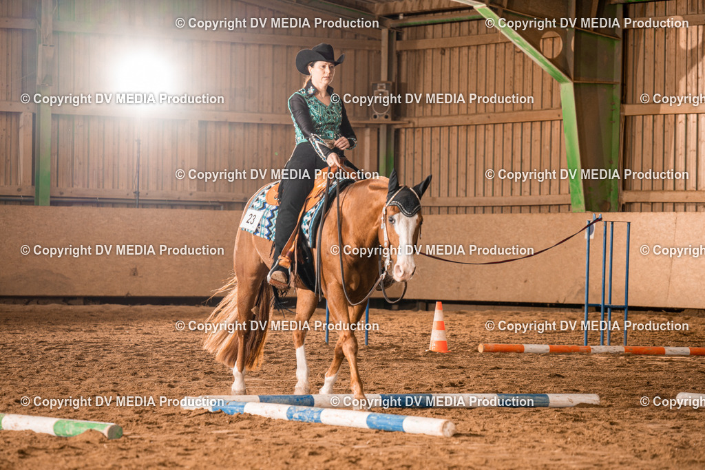 BA300369 | dv-media-shop - Realisiert mit Pictrs.com