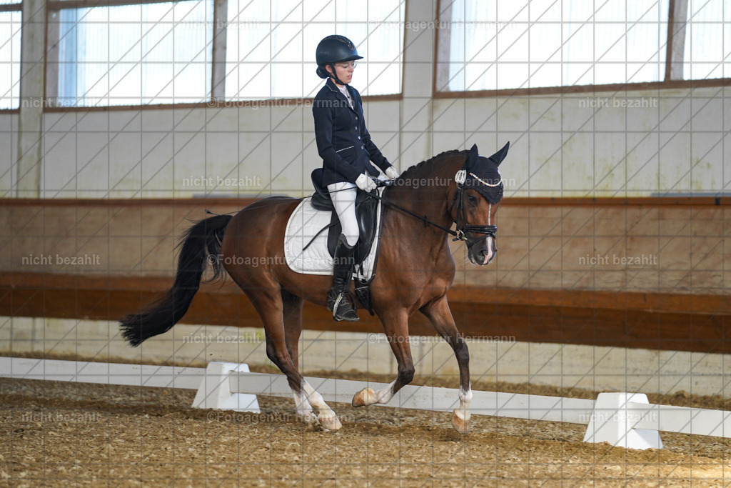 20240824-FAH07199 | Thierhaupten 2024, Bayerisches Landesponyturnier, Turnierbilder, Ponybilder, Turnierfotografen Bayern, Fotoagentur Herrmann