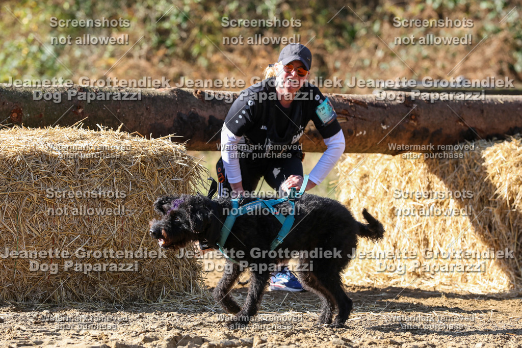Dog Paparazzi - Strongdog 10-25-4661 | Dog Paparazzi Jeanette Grottendiek Fotografie & Videografie - Realisiert mit Pictrs.com