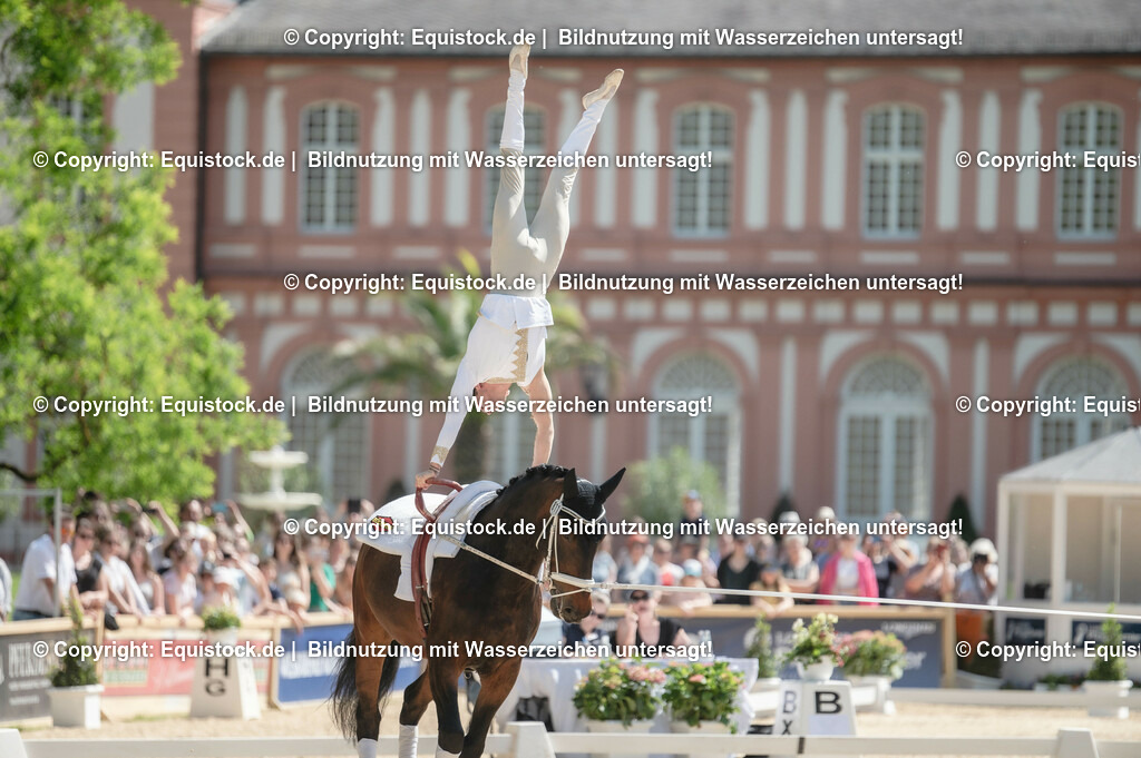 20230528_Voltigieren_NASPA_0192 | equistock