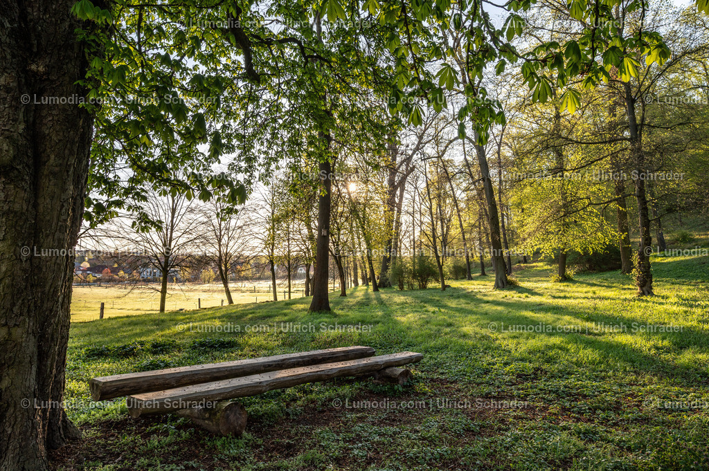 10049-14011 - In den Spiegelsbergen - Halberstadt | Stockfoto und Bilderpool mit Bildmaterial aus Deutschland, dem Harz, Halberstadt, Quedlinburg, Wernigerode und weltweit. Qualitativ hochwertige und professionelle Fotos anschauen und kaufen. - Realisiert mit Pictrs.com