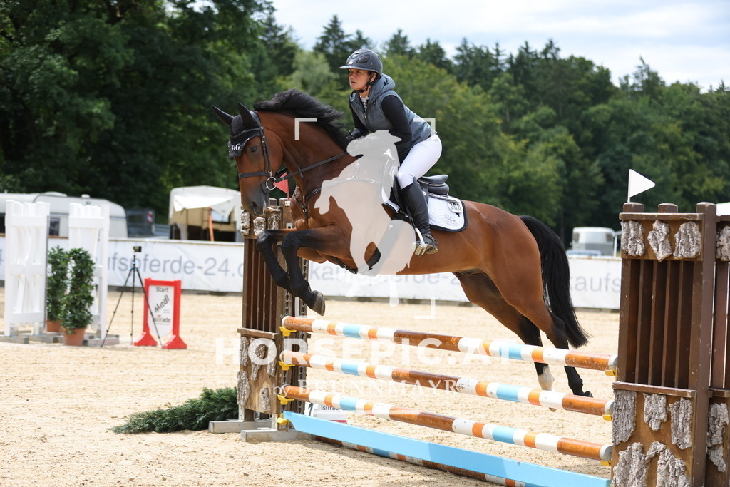 0P6A4257 | Willkommen bei Brunnmayr - Design & Fotografie – Ihrem Spezialisten für Reitturniere und Pferdeveranstaltungen in Oberösterreich, Salzburg und Bayern! Seit über 17 Jahren sind wir leidenschaftlich dabei.