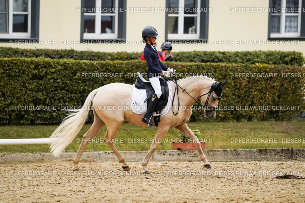 DSC00503 | Pferdegrafie