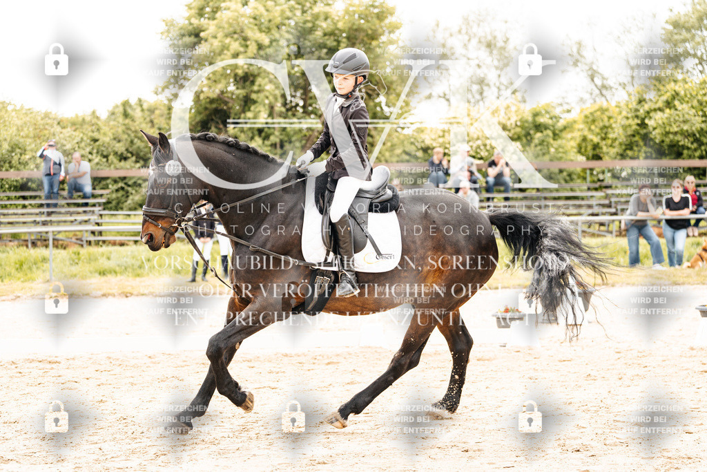 CK904356 | Turnierfotografie Pferdefotografie Trier Rheinland-Pfalz Pferdesport Reitsport Tierfotografie Sportfotografie Pferdevideo Pferdevideografie Equestrianvideography equestrianphotography  - Realisiert mit Pictrs.com