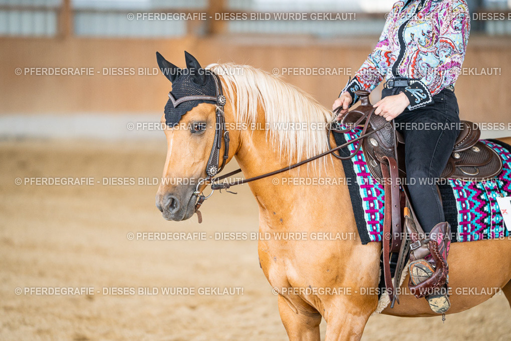 DSC08977 | Pferdegrafie