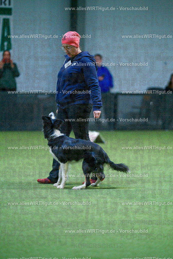 7R502717 | Professionelle Tierfotografie in Mönchengladbach von Daniel Wirth (allesWIRTHgut). Liebevolle & natürliche Bilder von Hunden & Katzen für unvergessliche Erinnerungen.