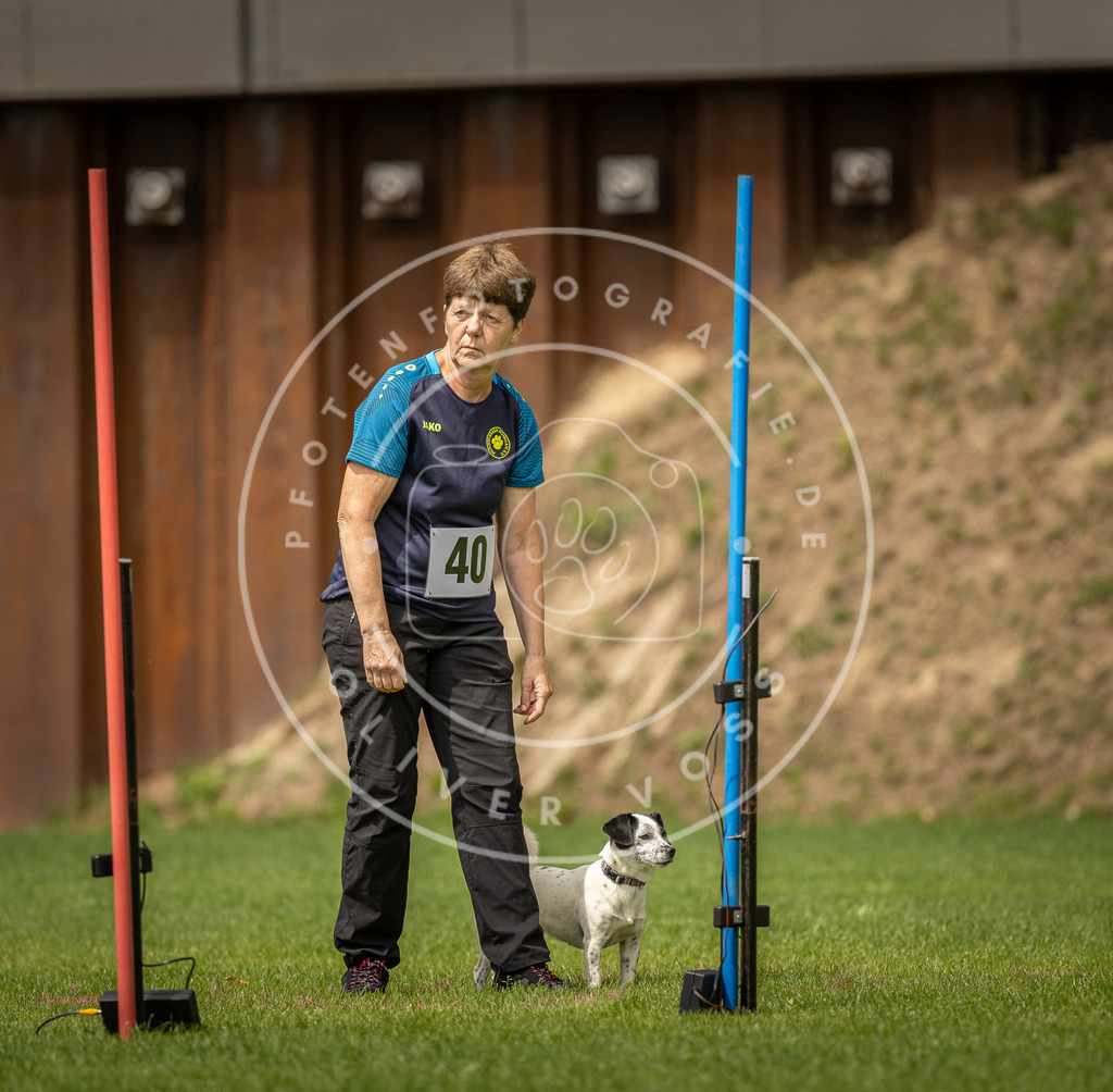 Pfotenfotografie_DV3A1995 | Hundefotografie, Tierfotograf, Pfotenfotografie, Fotoshooting Hund, Hunde Portrait, Hundesport, Hundeportraits, Heideshooting, Hunde, Sportfotograf, Hundefotograf, Turnierhundsport, THS,  - Realisiert mit Pictrs.com