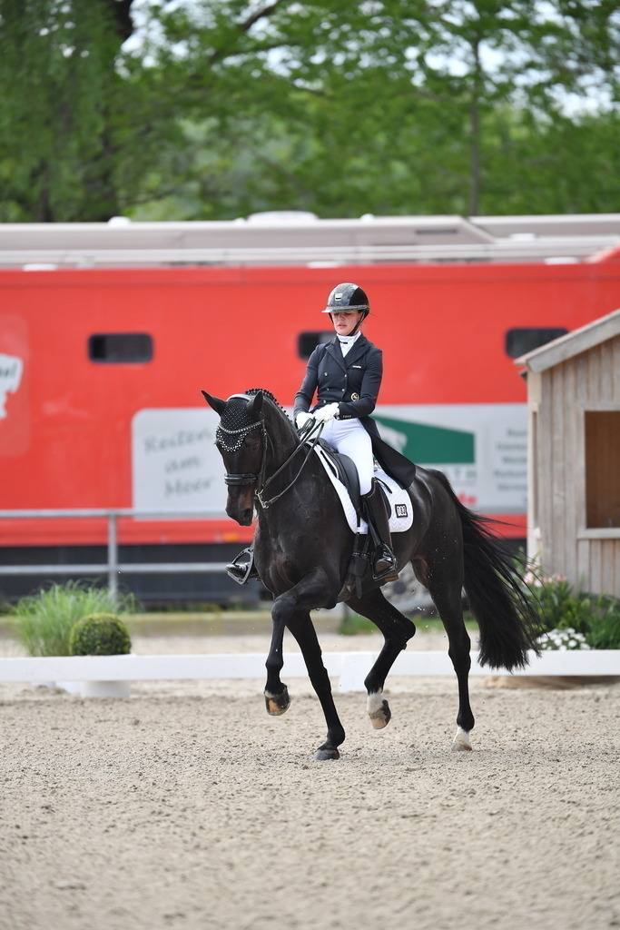 Plinke_17_048 | Der professionelle Turnierfotograf ✓ Reitsport Bilder ▷ Shop ✚ günstig & schnell ✚ mit Zugang für Redakteure