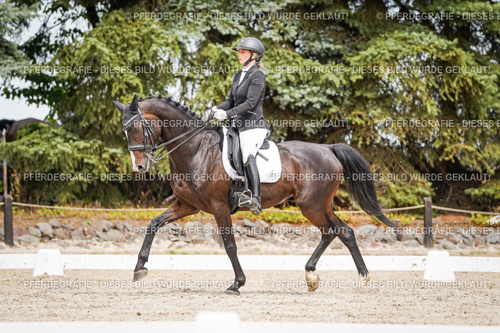 DSC05737 | Pferdegrafie