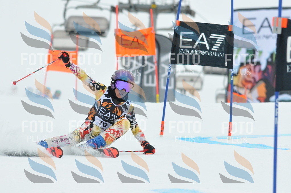 DSC_7834 | holidayphoto