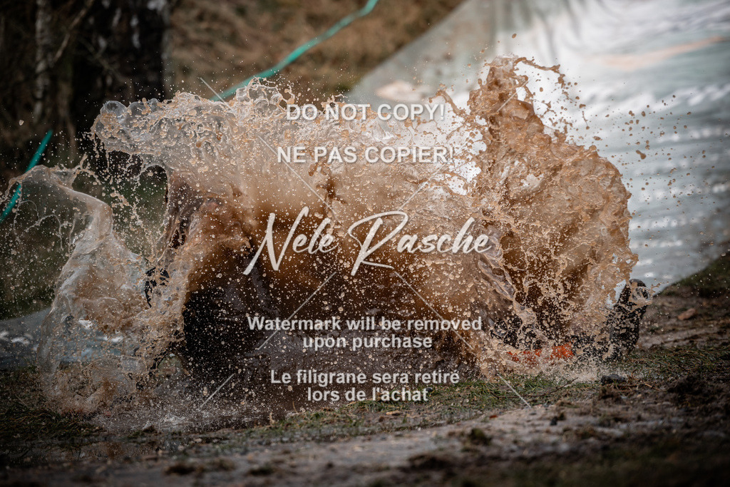 nelerasche_1430-1500_25 | nelerasche