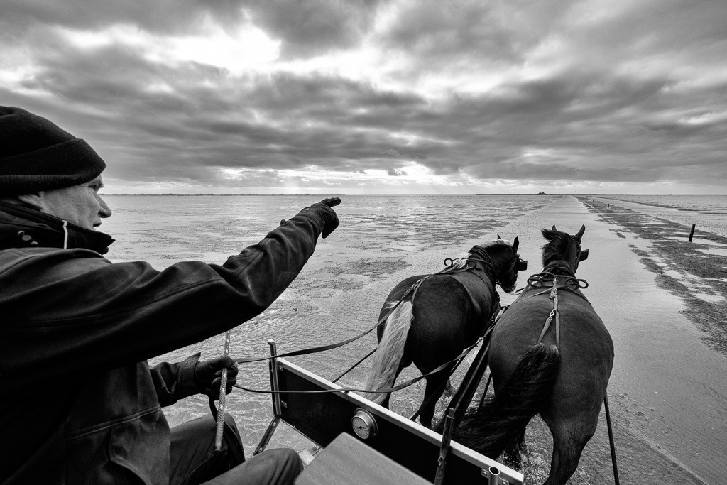 Kutschfahrt zur Hallig Südfall © Holger Rüdel | Der Online-Shop von Holger Rüdel. Ausgewählte Fotografien als FineArt-Prints bestellen: Bildreportagen, Landschaften, Wildlife, History, Infrarot-Motive in Schwarzweiß und Verschiedenes.  - Realisiert mit Pictrs.com