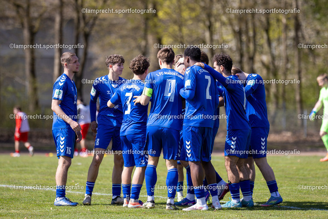 Fußball I Junioren I Saison 2025-2026 I DFB-Nachwuchsliga I 8. Spieltag I JFV Lübeck - 1. FC Magdeburg 178 | 1. FC Magdeburg nach dem Tor - Realisiert mit Pictrs.com