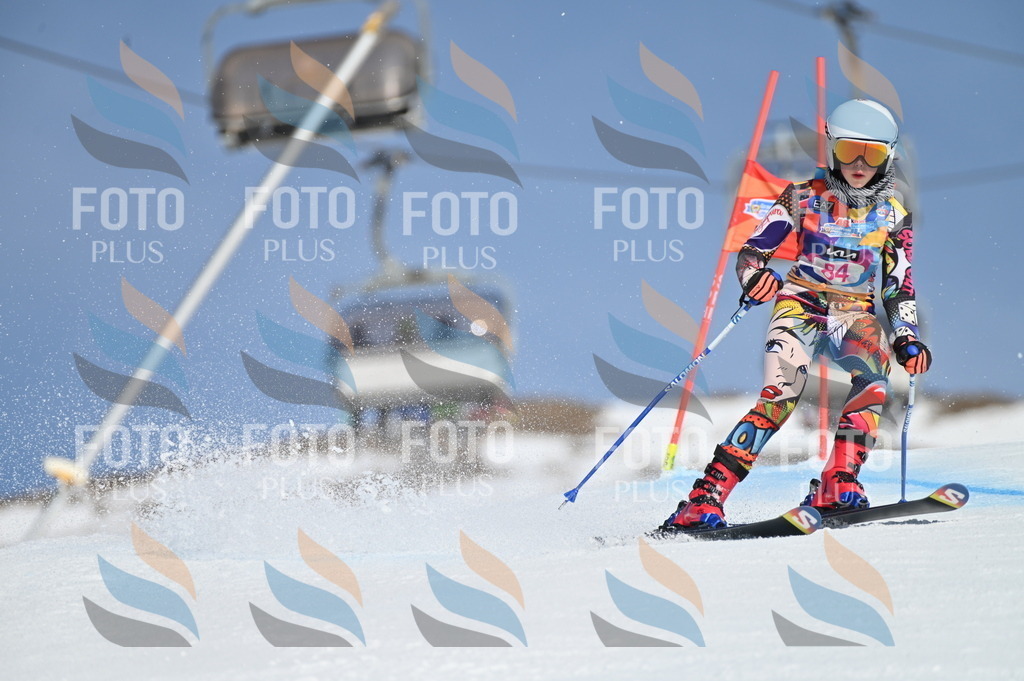 BGV_9136 | holidayphoto