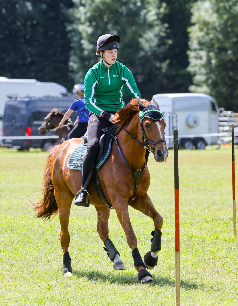 IMG_1620 | Reitsport Reiten