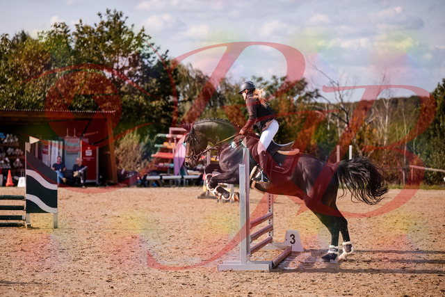 2026_10_03_Siefer-Hof_154310_Z81_60980164 | Professionelle Reitsport-, Turnier- und Eventfotografie von Robert Broda. Galerien mit ausgewählten und bearbeiteten Bildern direkt online ansehen und bestellen.