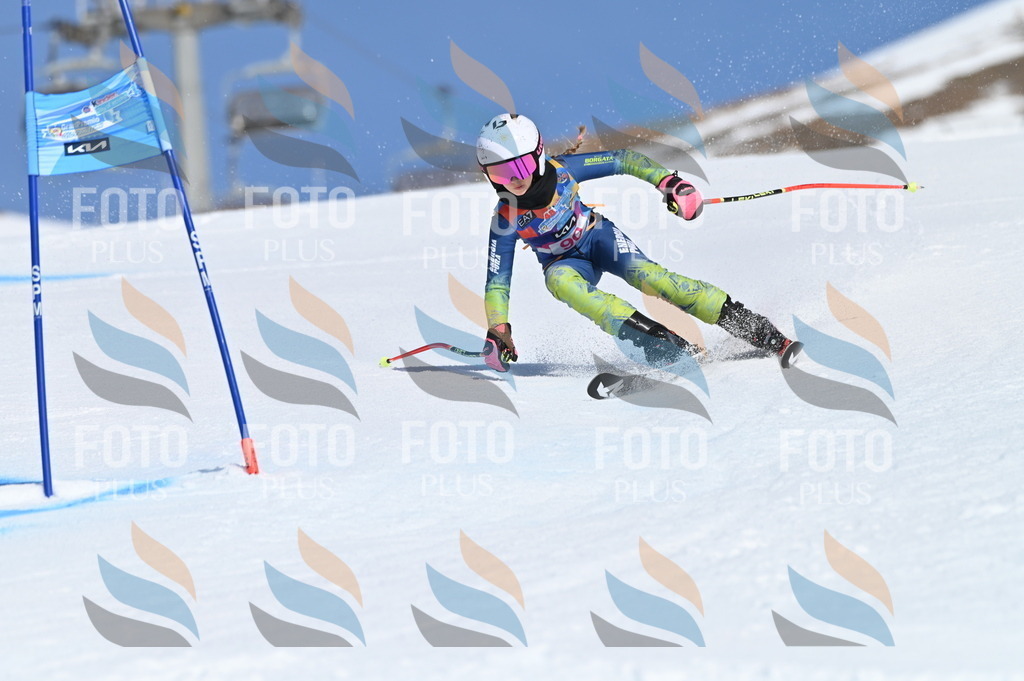 BGV_9253 | holidayphoto