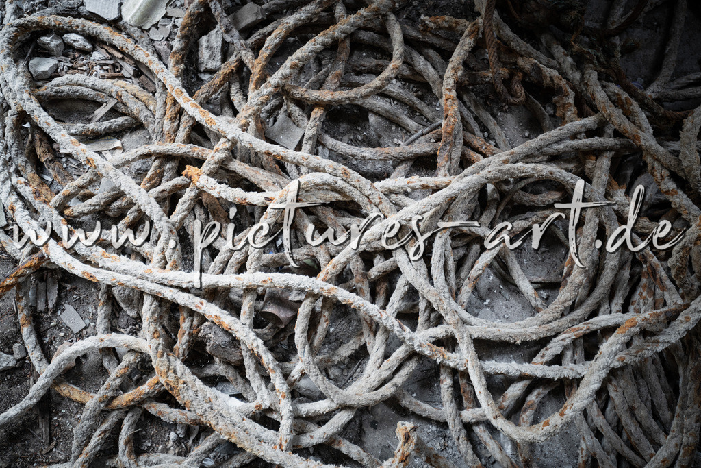 DSC04604 | pictures-art.de