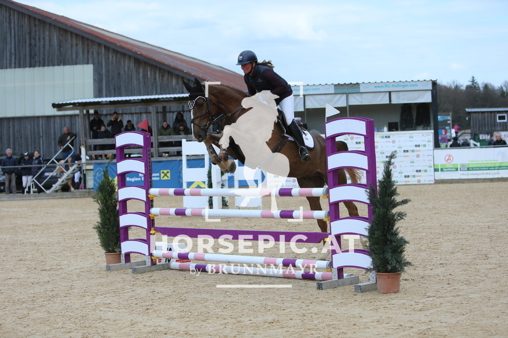 DL2Q0165 | Willkommen bei Brunnmayr - Design & Fotografie – Ihrem Spezialisten für Reitturniere und Pferdeveranstaltungen in Oberösterreich, Salzburg und Bayern! Seit über 17 Jahren sind wir leidenschaftlich dabei.