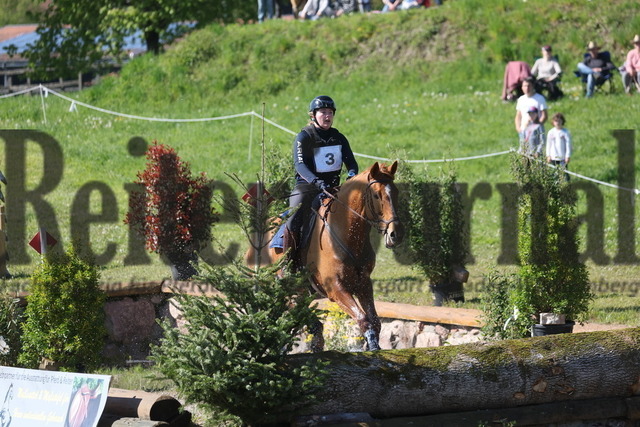 Radolfzell-Weiherhof_2024_CCI2Sterne_Michelle Dürst_The Irish Factor (7) | Alle Fotos der Reiterjournal Fotografin Doris Matthaes im Reiterjournal Online-Fotoshop. - Realisiert mit Pictrs.com