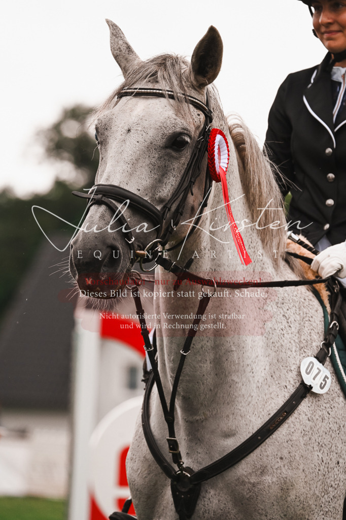 DSC_6683 | Pferde- und Turnierfotografie in Westsachsen. Pferdeportraits, Auftragszeichnungen und intuitive Kunst.