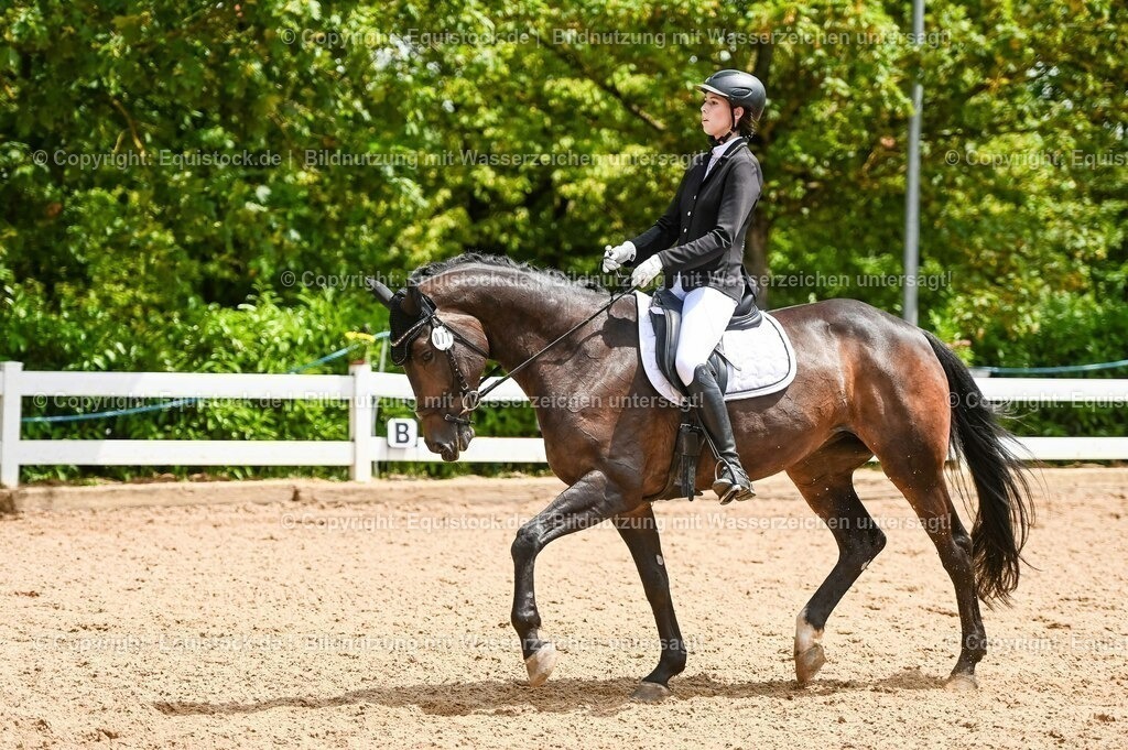 20230716_03_Dressurprfg. Kl.L - Tr._0585 | equistock