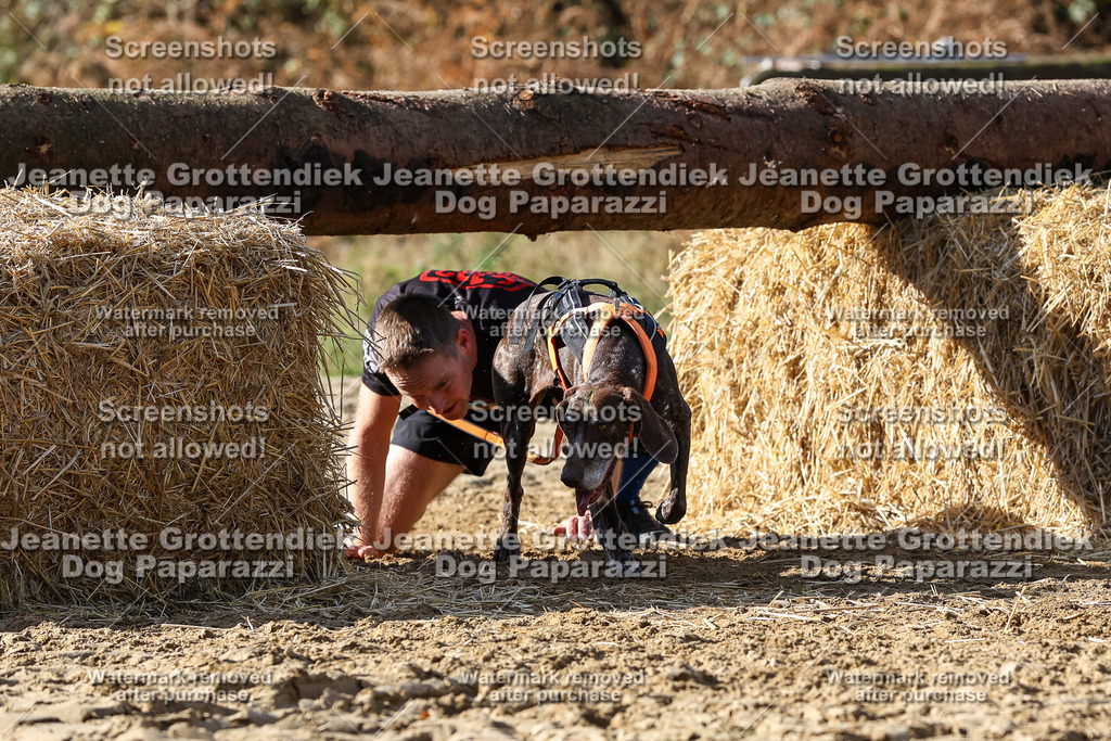 Dog Paparazzi - Strongdog 10-25-4851 | Dog Paparazzi Jeanette Grottendiek Fotografie & Videografie - Realisiert mit Pictrs.com