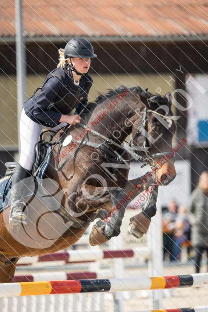 IMG_4305 | Sport-, Event- und Tierfotos in Profiqualität. Einfach auswählen, bestellen und herunterladen. Dein Moment – perfekt festgehalten.