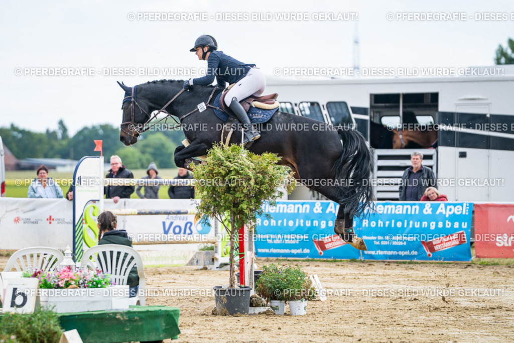 DSC06867 | Pferdegrafie