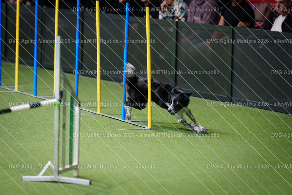 allesWIRTHgut_Tierfotografie-DVG_Agility_Masters_2026-09_41-7R502436 | Professionelle Tierfotografie in Mönchengladbach von Daniel Wirth (allesWIRTHgut). Liebevolle & natürliche Bilder von Hunden & Katzen für unvergessliche Erinnerungen.