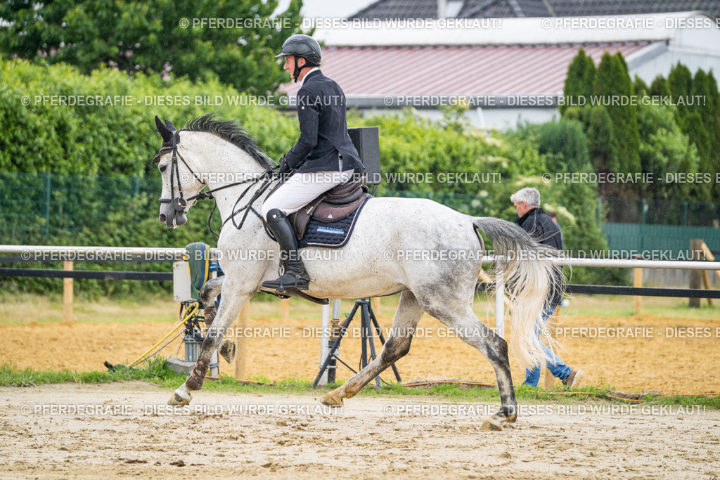 DSC00909 | Pferdegrafie