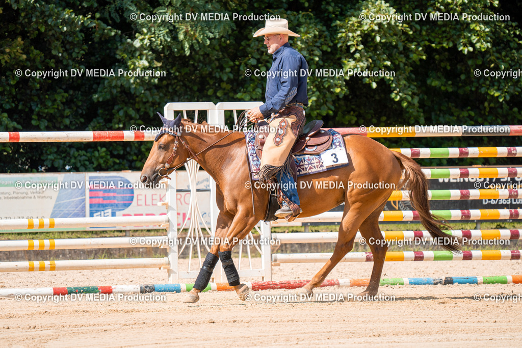 ZH100668 | dv-media-shop - Realisiert mit Pictrs.com