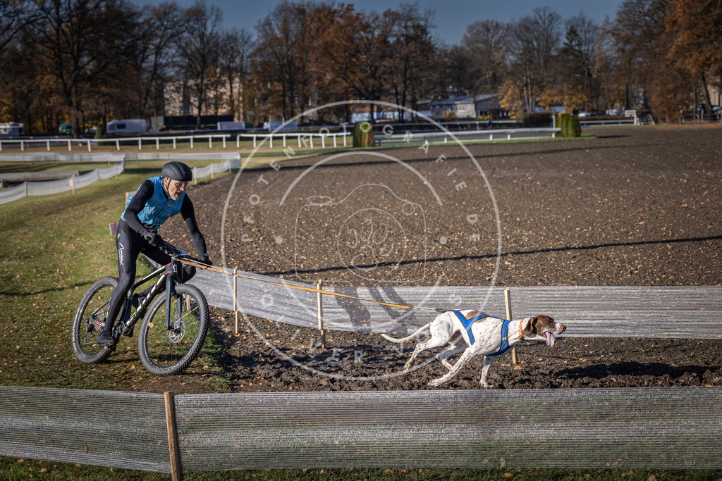 CaniXpix_DV3A3516 | Hundefotografie, Tierfotograf, Pfotenfotografie, Fotoshooting Hund, Hunde Portrait, Hundesport, Hundeportraits, Heideshooting, Hunde, Sportfotograf, Hundefotograf, Turnierhundsport, THS,  - Realisiert mit Pictrs.com